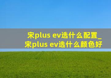 宋plus ev选什么配置_宋plus ev选什么颜色好